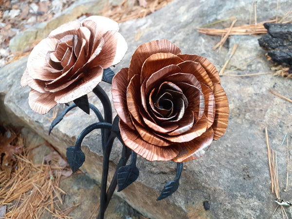 Copper and Steel Rose