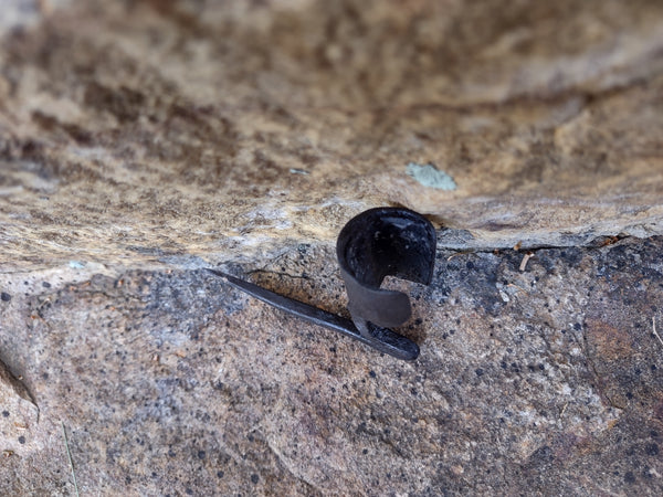 Bushcraft Candle Holder