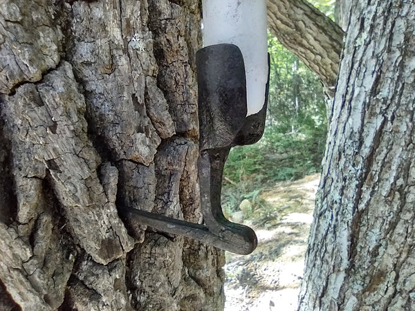 Bushcraft Candle Holder