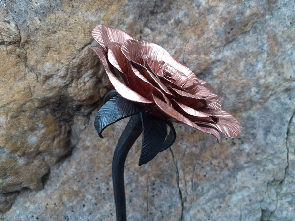 Copper and Steel Forever Rose (without stem leaves)